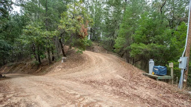 a view of a road with trees in the background