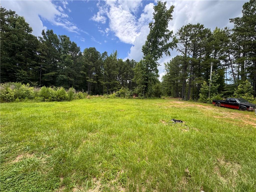 73 Allie Road Greenville, GA 30222 - Photo 9 of 9