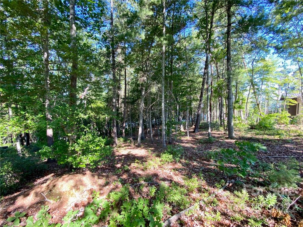 4 North Powerhouse Road, Unit 4 Morganton, NC 28655 - Photo 14 of 22 Gallery Image 14