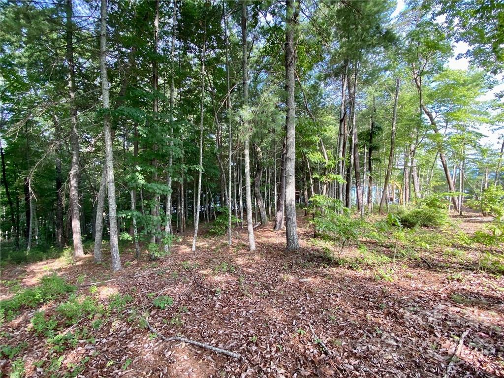 4 North Powerhouse Road, Unit 4 Morganton, NC 28655 - Photo 17 of 22 Gallery Image 17