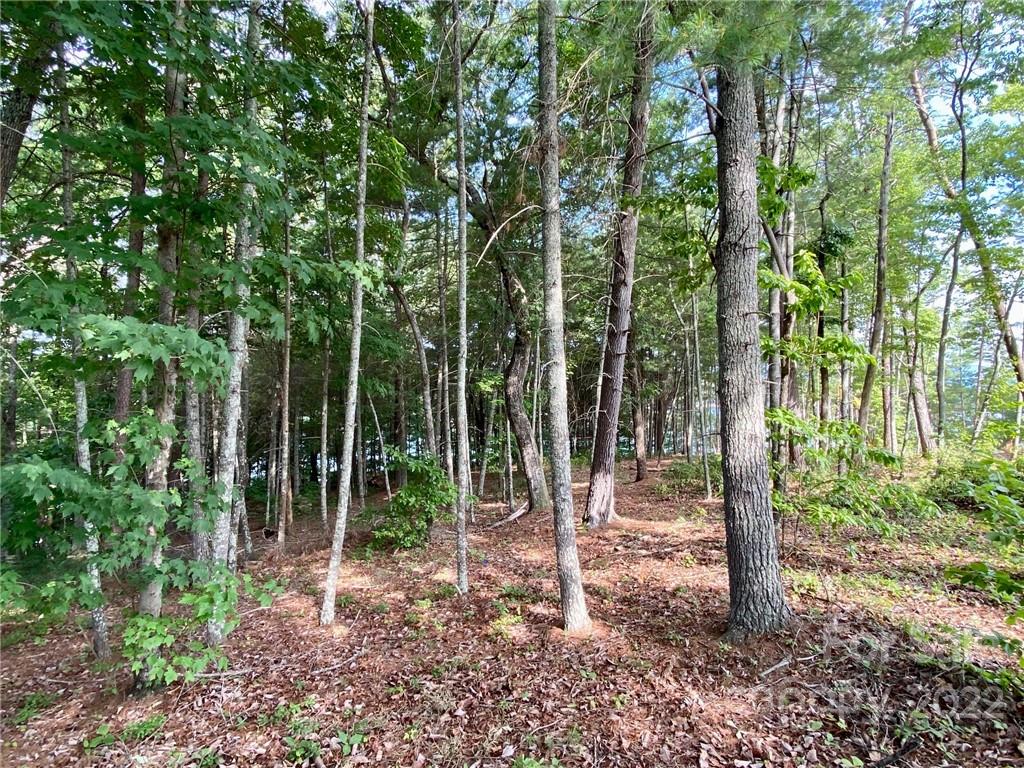 4 North Powerhouse Road, Unit 4 Morganton, NC 28655 - Photo 18 of 22 Gallery Image 18