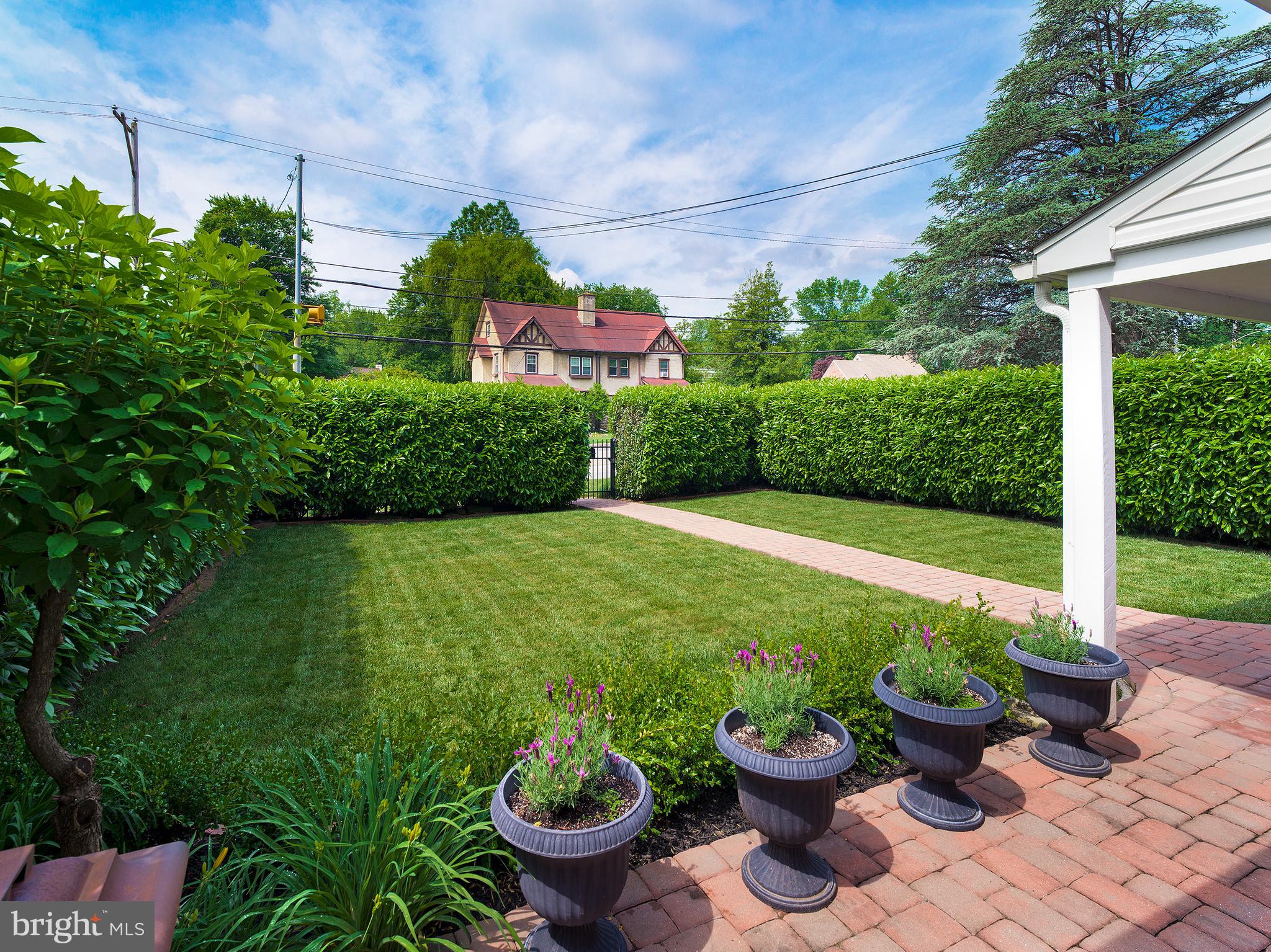 Front Yard