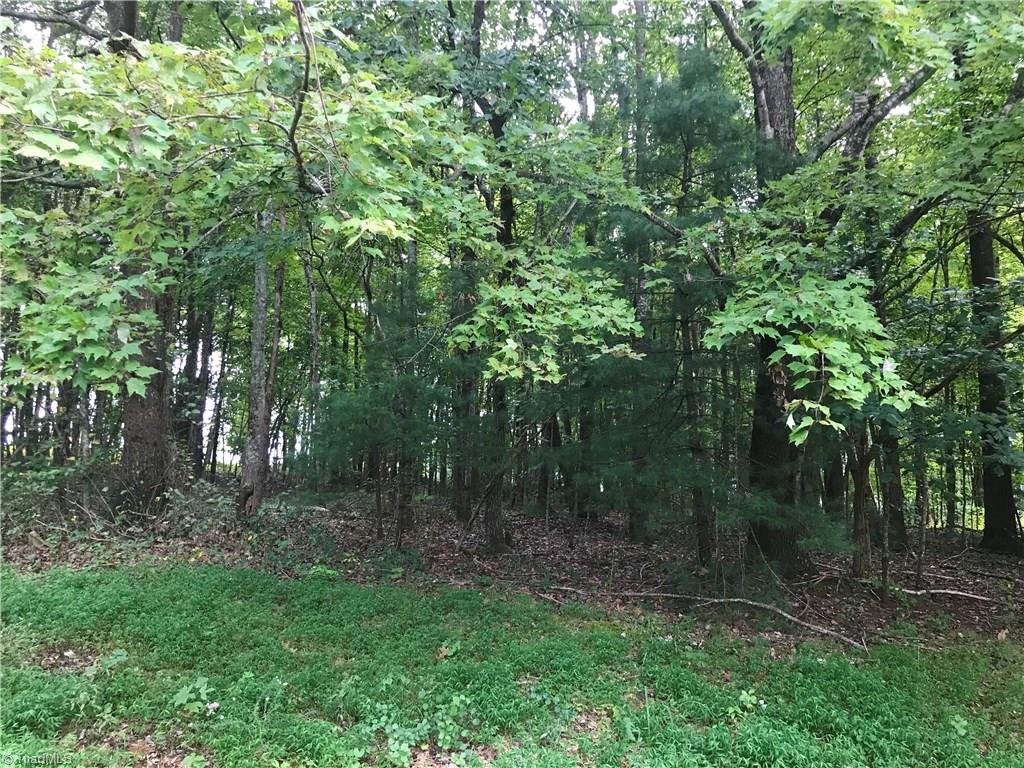 0 Laurelwood Road State Road, NC 28676 - Photo 2 of 3 Gallery Image 2