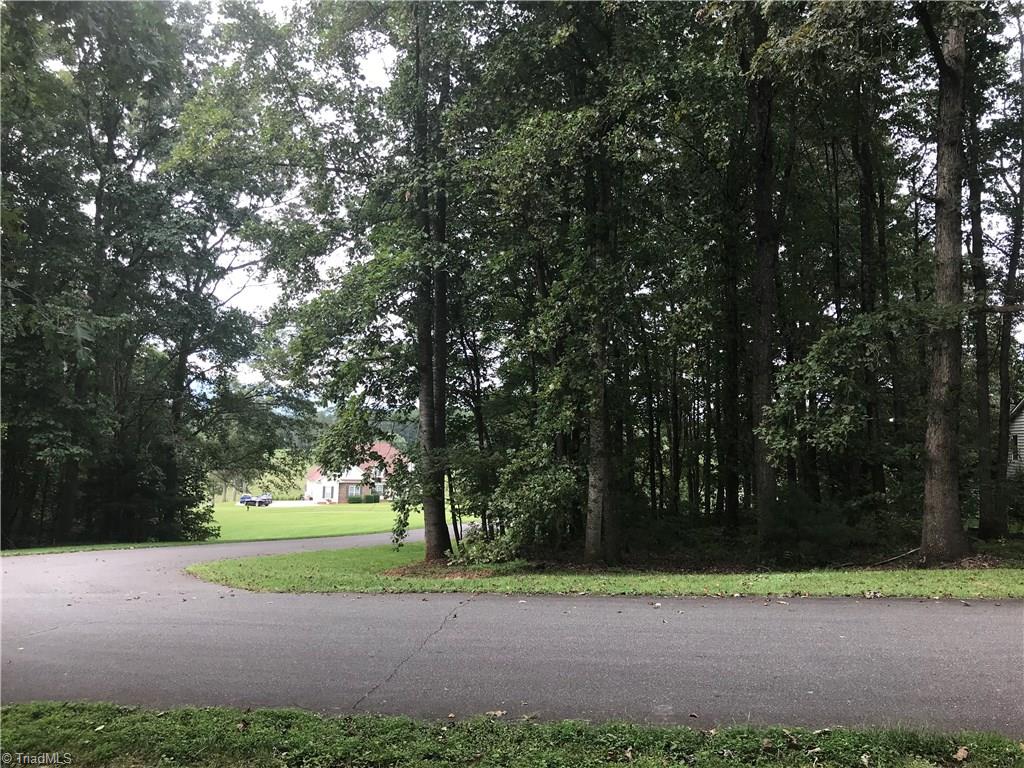 0 Laurelwood Road State Road, NC 28676 - Photo 3 of 3 Gallery Image 3