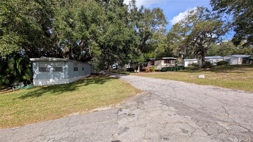 11730 East U Highway Seffner, FL 33584 - Photo 11 of 11 a view of a swimming pool with a yard and large trees