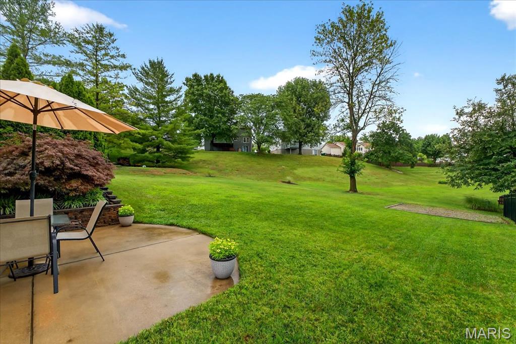 1412 Atlantic Crossing Drive Fenton, MO 63026 - Photo 48 of 56