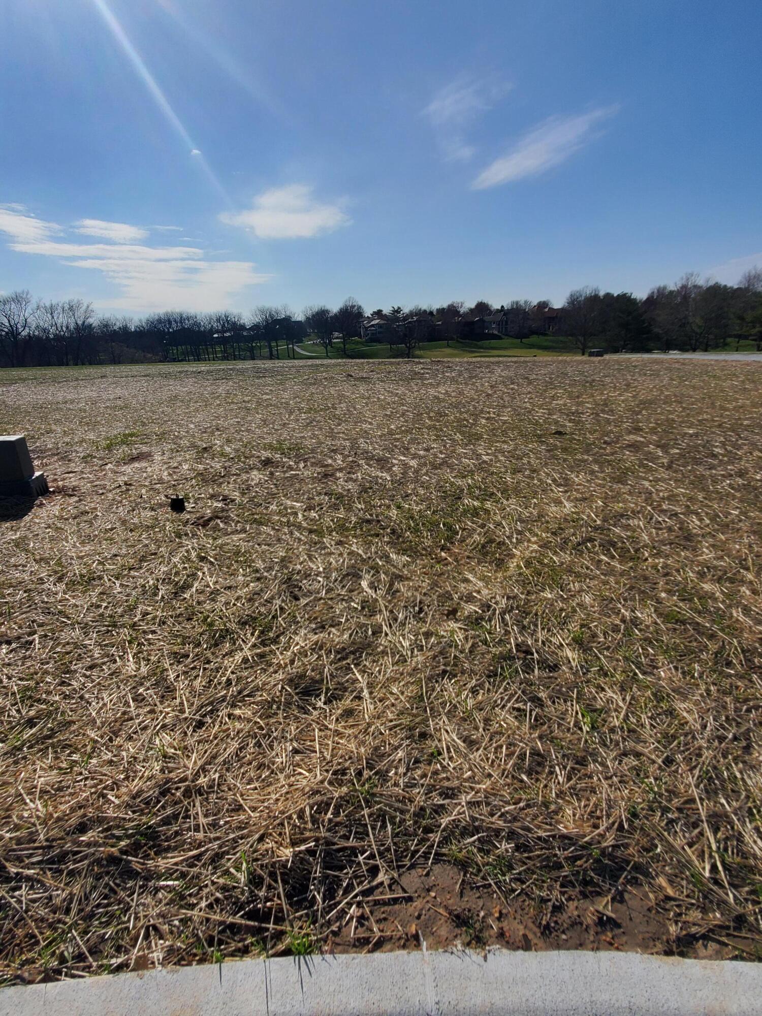 Lot 44 Vintage Pointe Springfield, MO 65809 - Photo 1 of 3 20230327_164140
