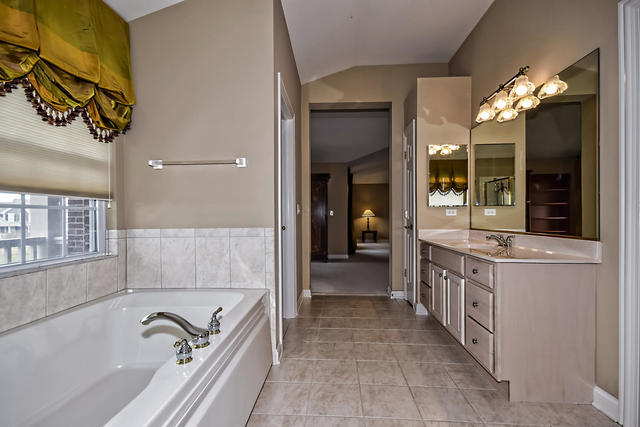 1659 Constitution Drive Glenview, IL 60026 - Photo 10 of 11