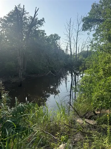 a view of a back yard of the house