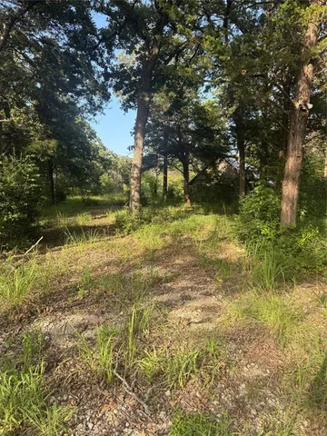 a big yard with lots of green space and deers