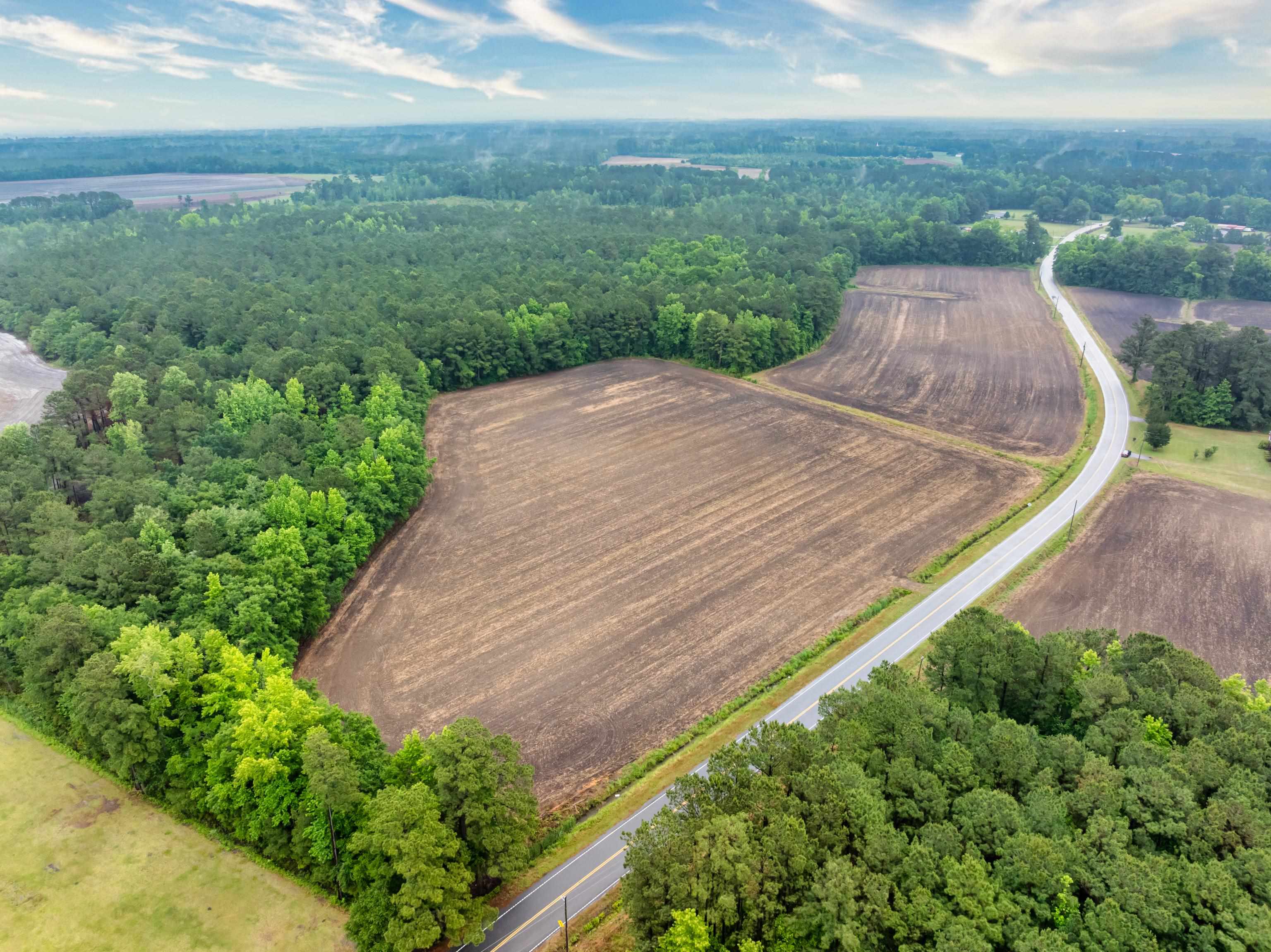 9475 Lake Swamp Road Nichols, SC 29581 - Photo 24 of 36