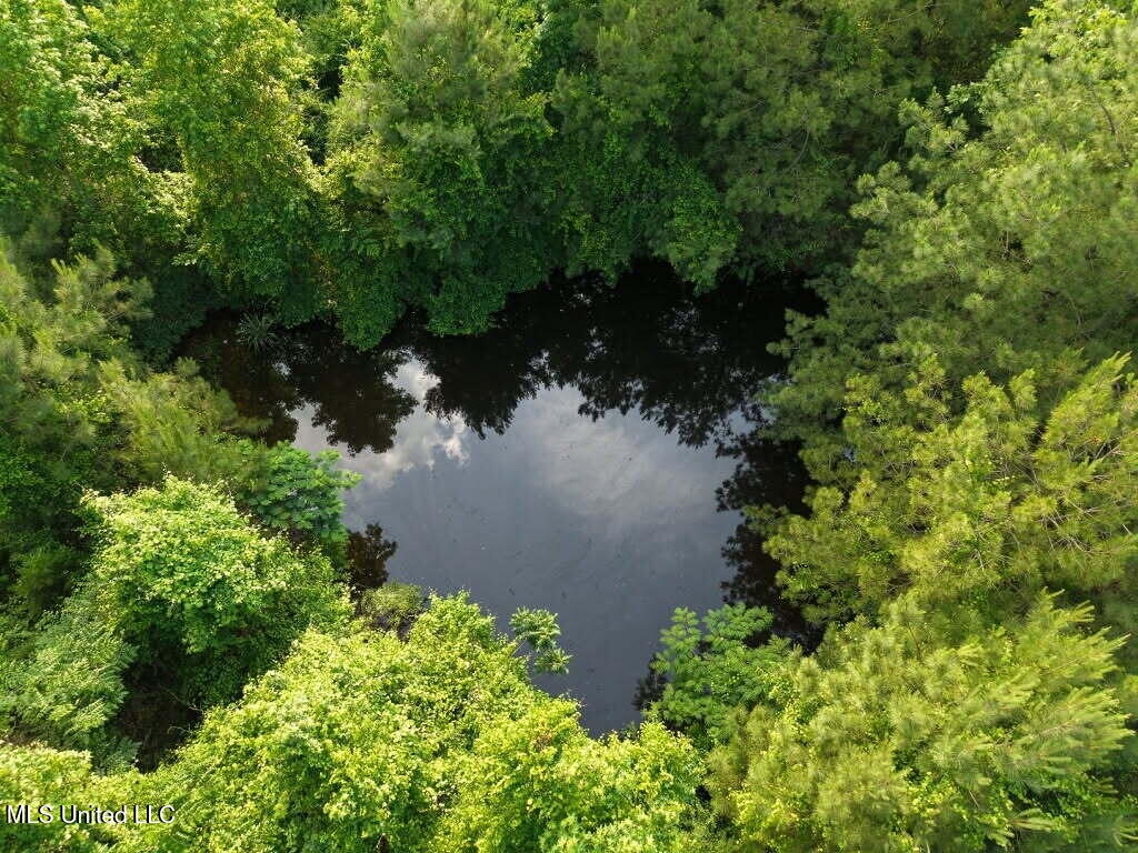 148 Butler Drive Braxton, MS 39044 - Photo 2 of 21 butler pond