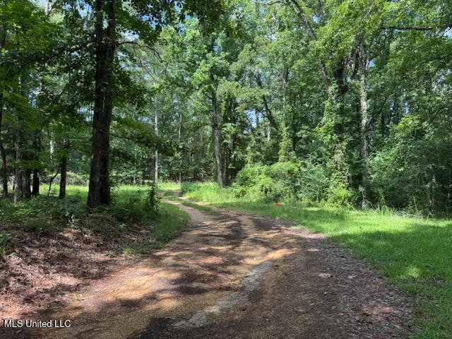 148 Butler Drive Braxton, MS 39044 - Photo 5 of 21 butler road