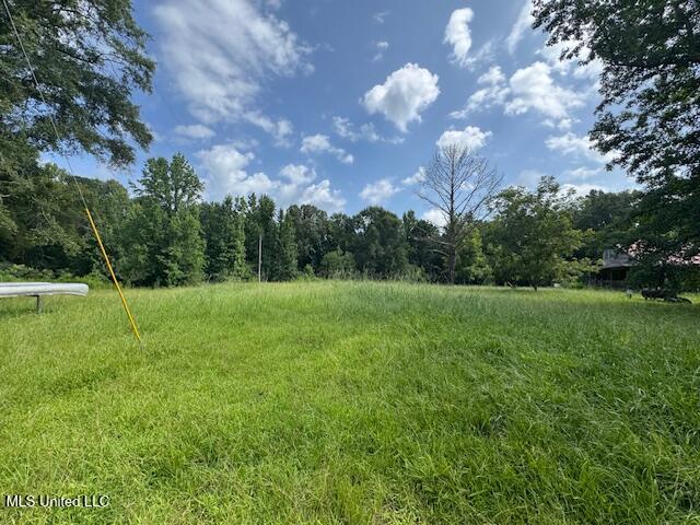 148 Butler Drive Braxton, MS 39044 - Photo 8 of 21 butler land