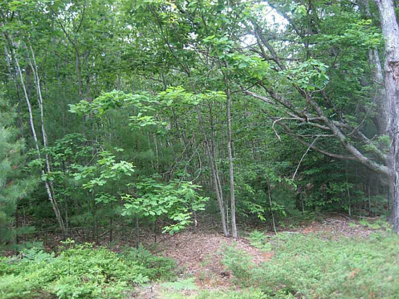 0 Hope Road Hope, ME 04847 - Photo 8 of 12 Land/Lot.