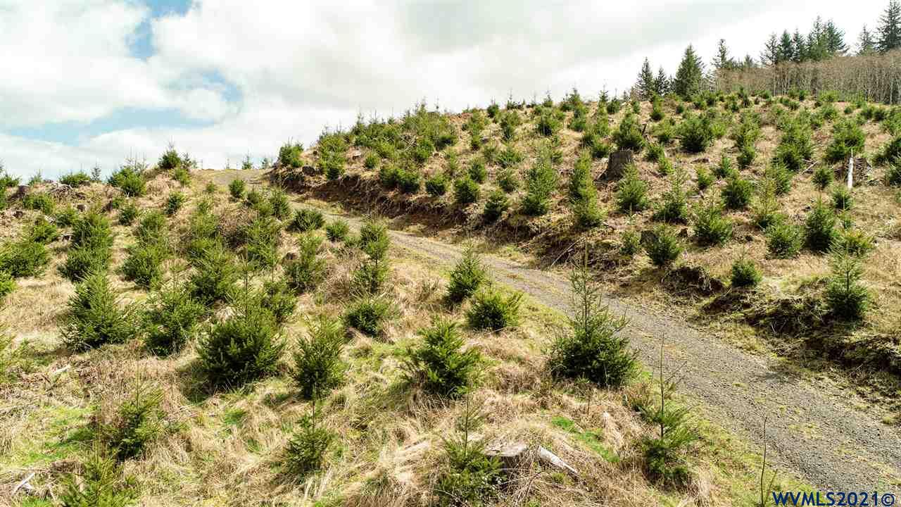R287435 R287435 Toledo, OR 97391 - Photo 2 of 38 Gallery Image 2