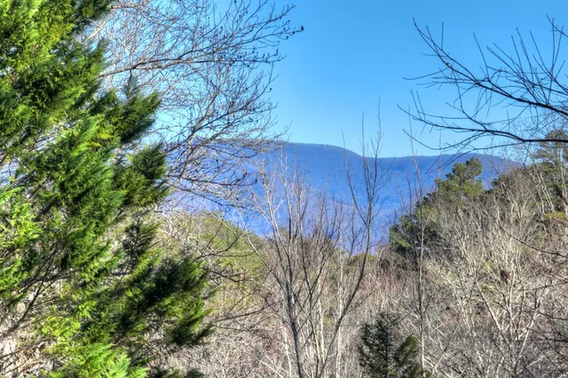 a kitchen with stainless steel appliances white cabinets and a refrigerator