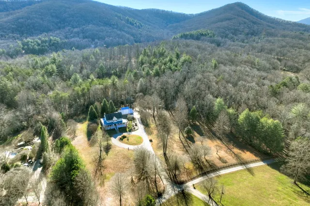 a view of a yard with trees