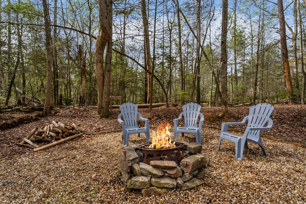 159 Pack Creek Road Blue Ridge, GA 30513 - Photo 13 of 42 Gallery Image 13