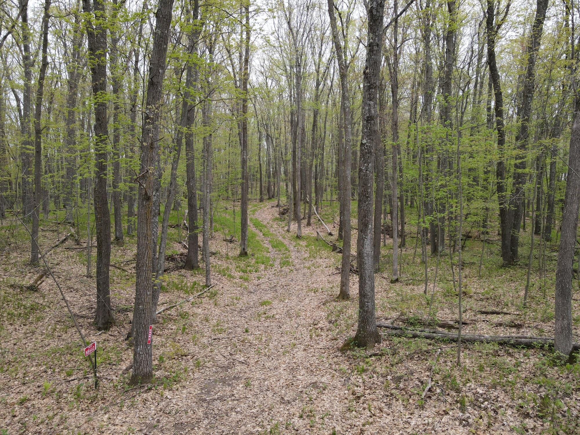 N8661 Sand Pit Road Trego, WI 54888 - Photo 5 of 20