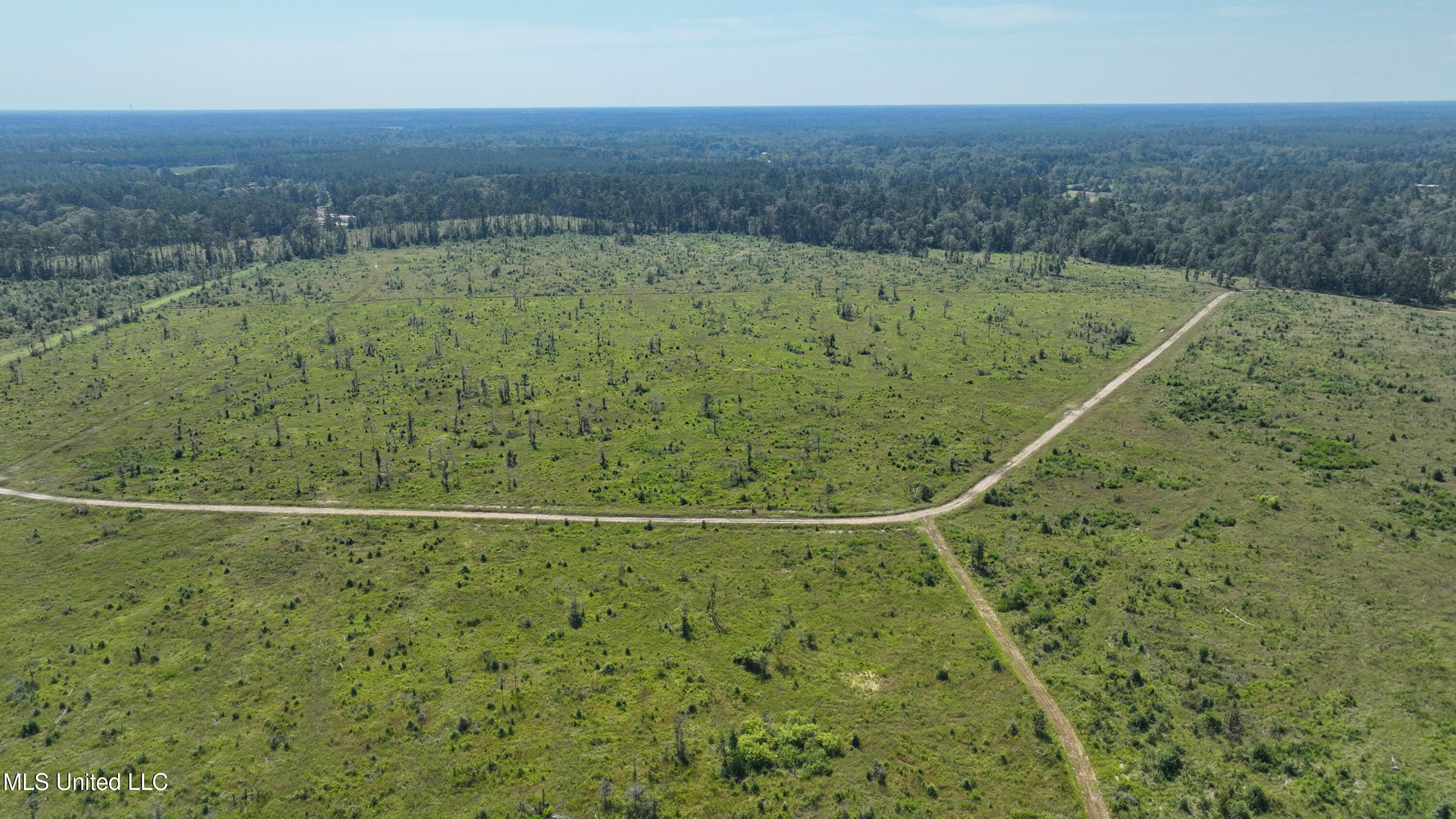 38774 South Mccarrol Road Independence, LA 70443 - Photo 12 of 24 DJI_0738