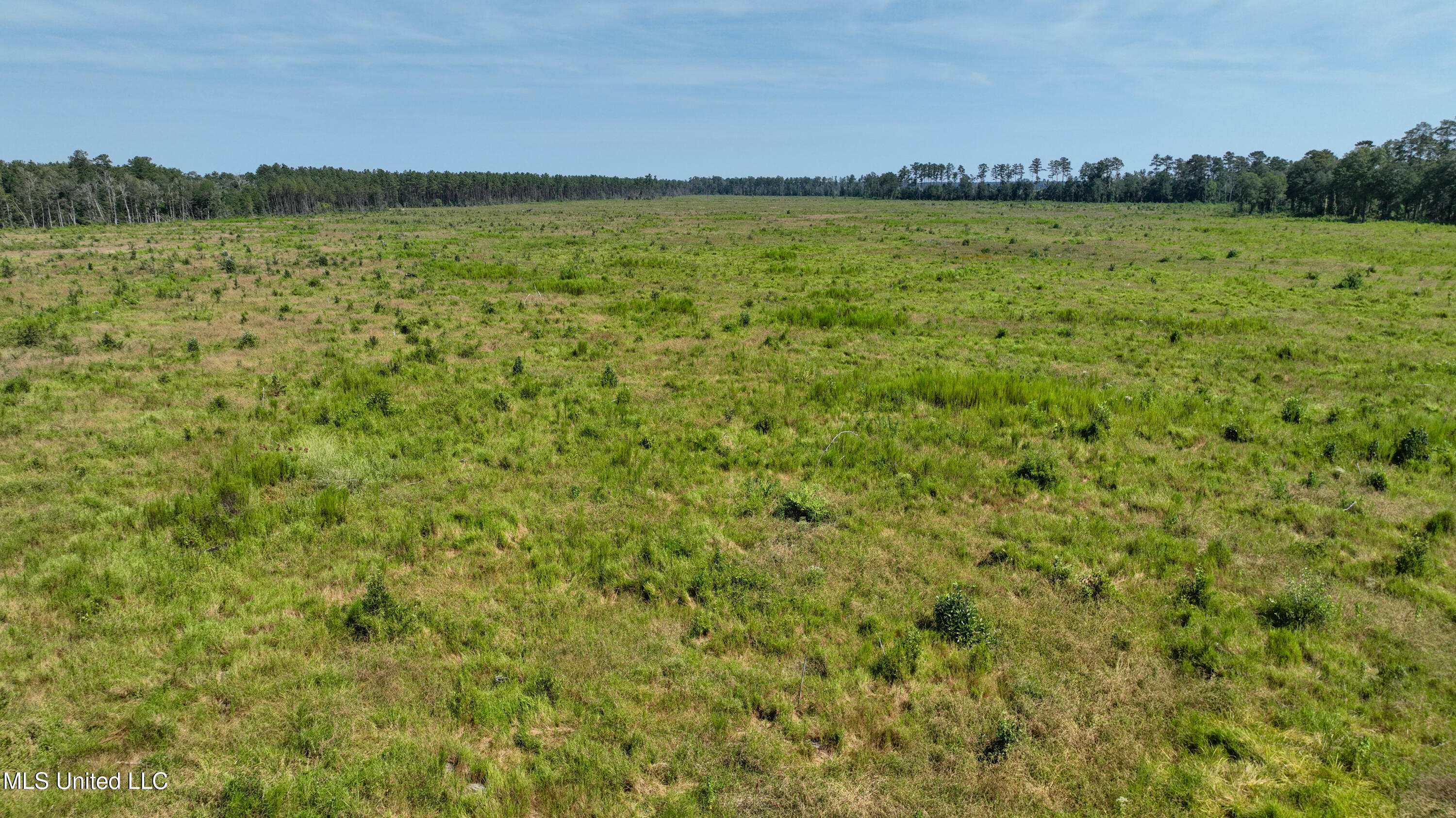 38774 South Mccarrol Road Independence, LA 70443 - Photo 14 of 24 DJI_0751