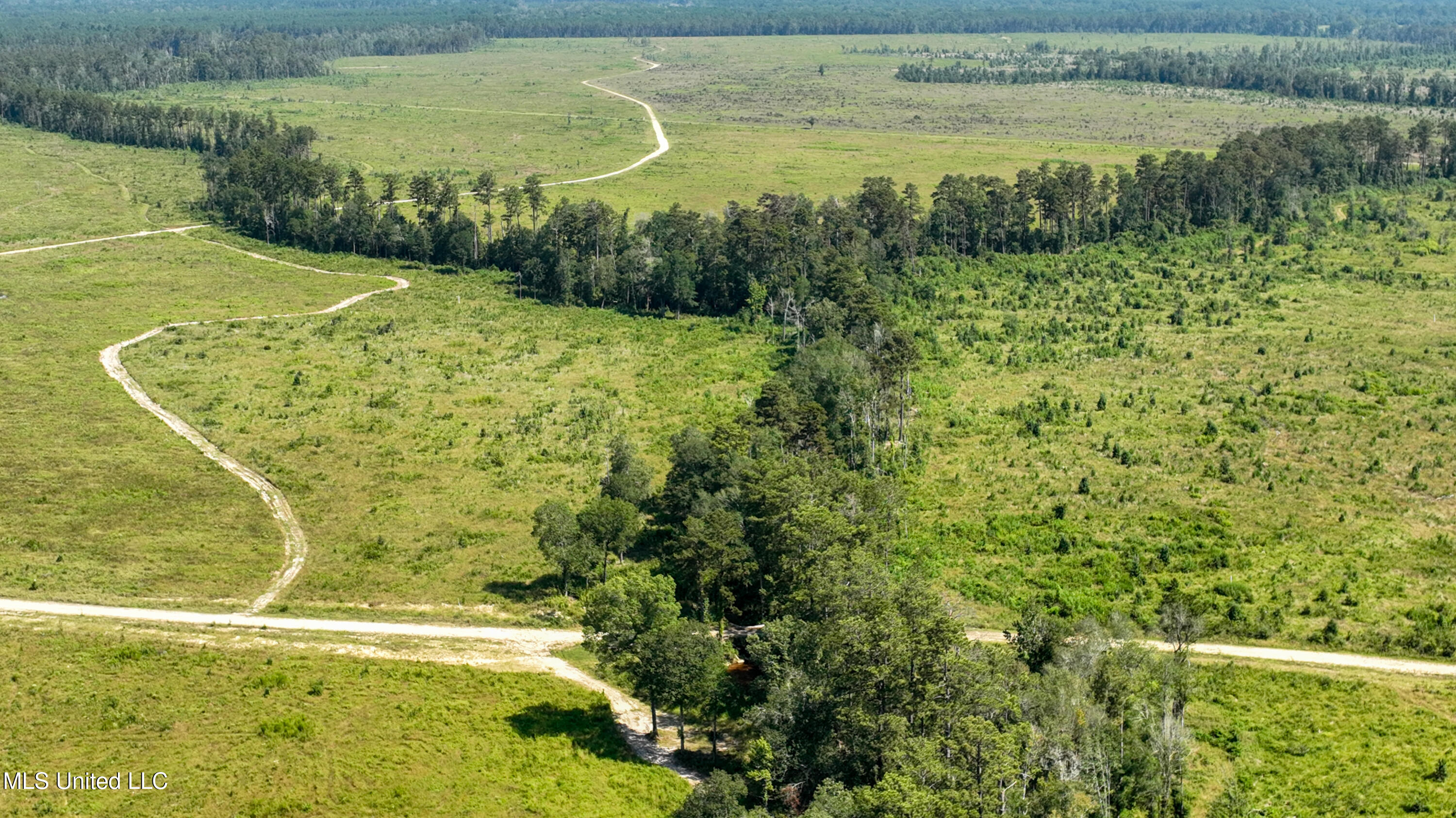 38774 South Mccarrol Road Independence, LA 70443 - Photo 16 of 24 DJI_0769