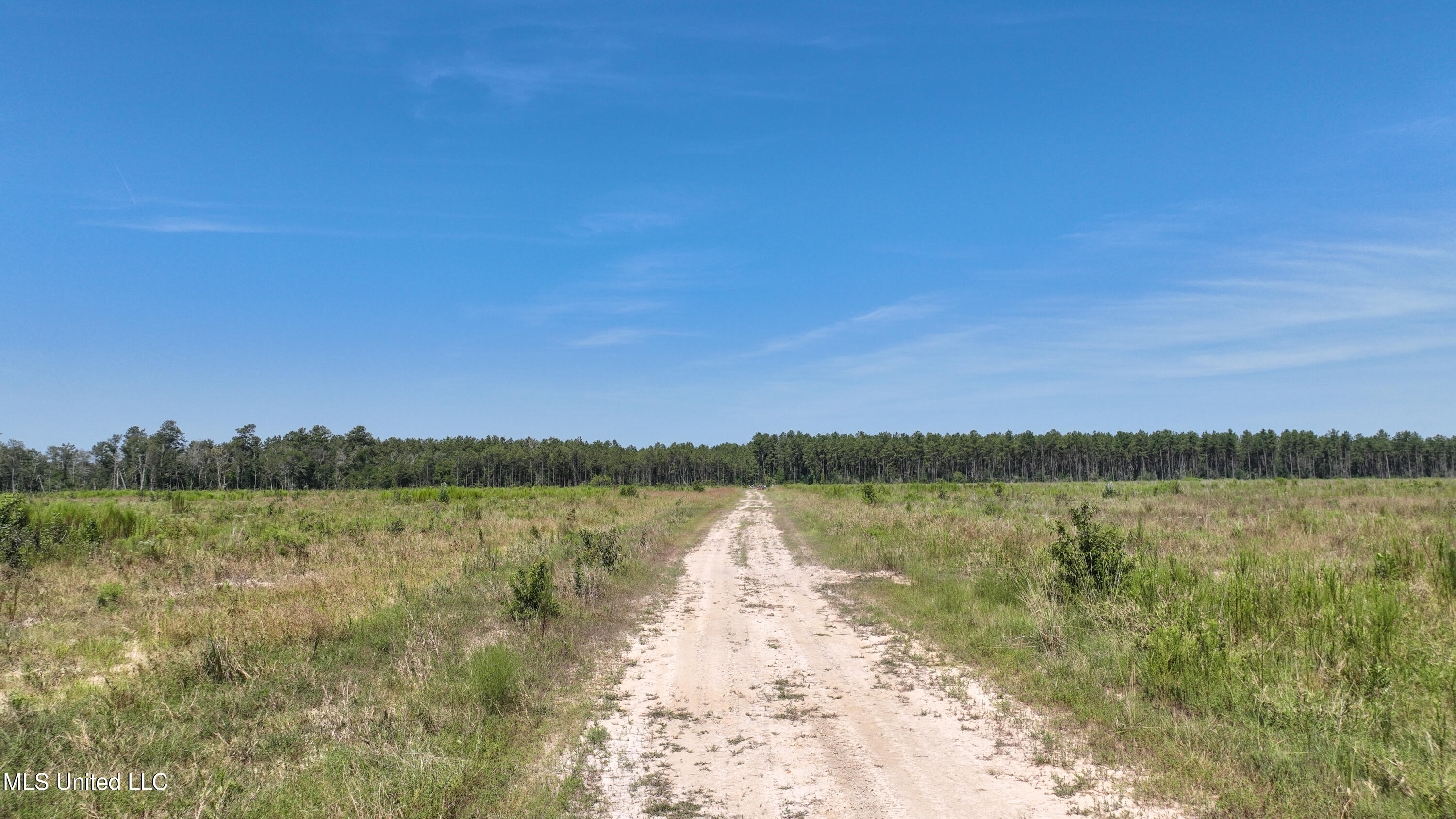 38774 South Mccarrol Road Independence, LA 70443 - Photo 17 of 24 DJI_0774