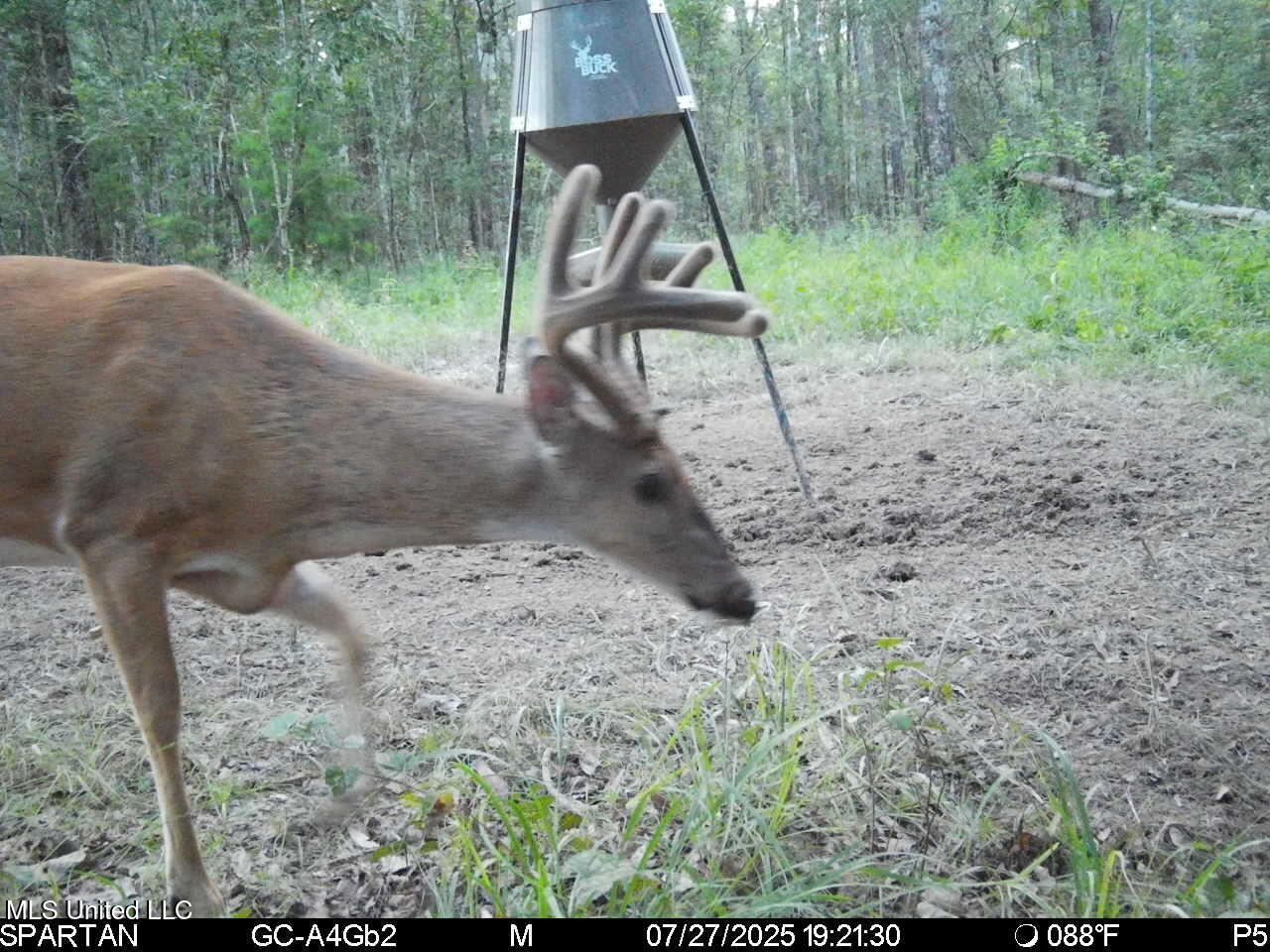 38774 South Mccarrol Road Independence, LA 70443 - Photo 21 of 24 IMG_5224 2