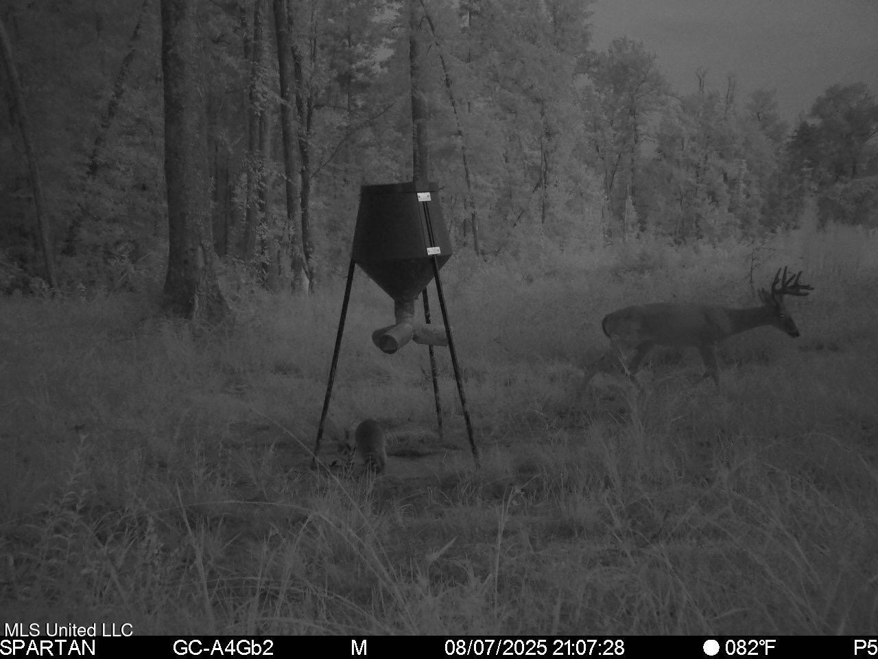 38774 South Mccarrol Road Independence, LA 70443 - Photo 23 of 24 IMG_5332 2