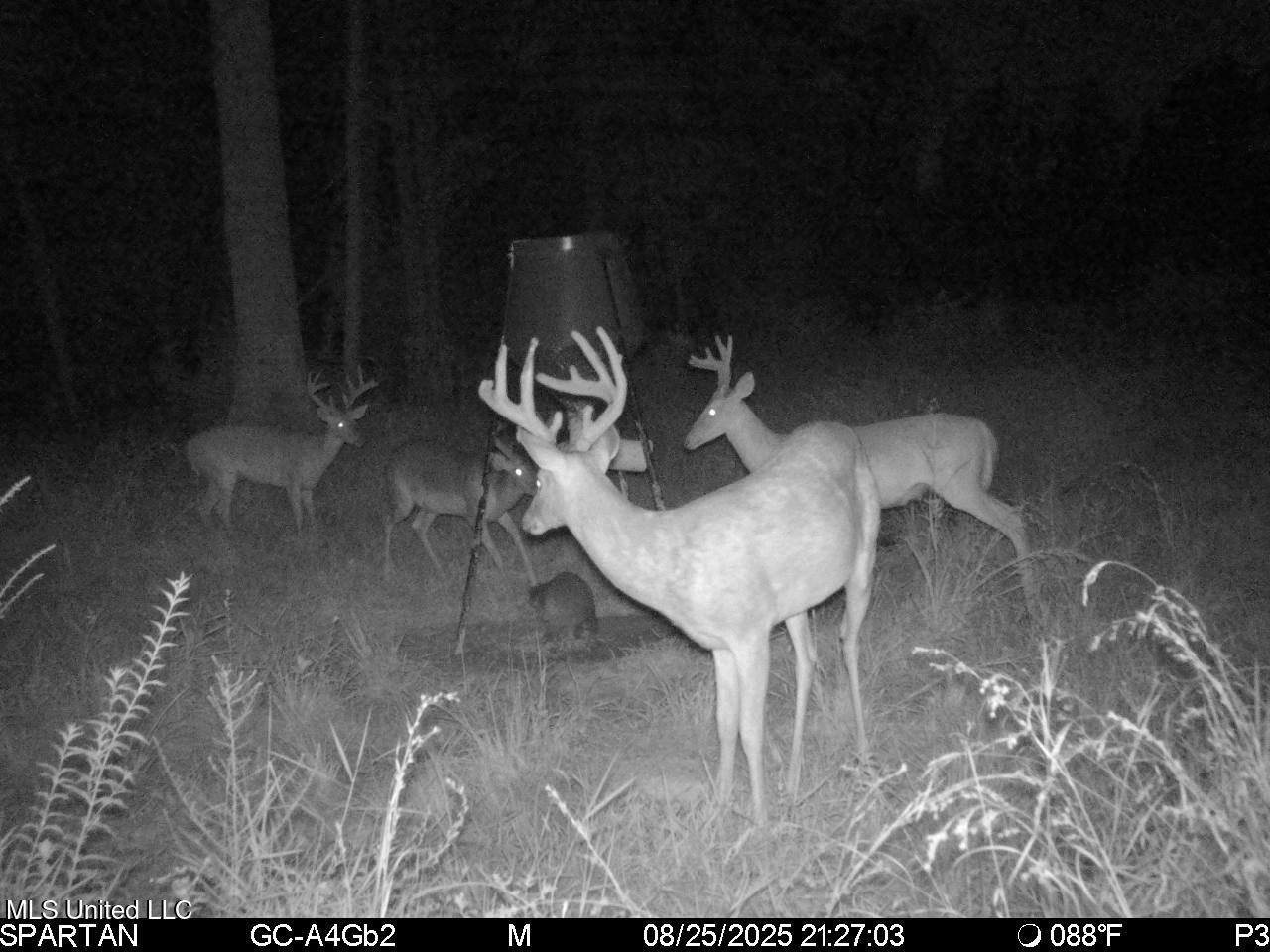 38774 South Mccarrol Road Independence, LA 70443 - Photo 24 of 24 IMG_5538