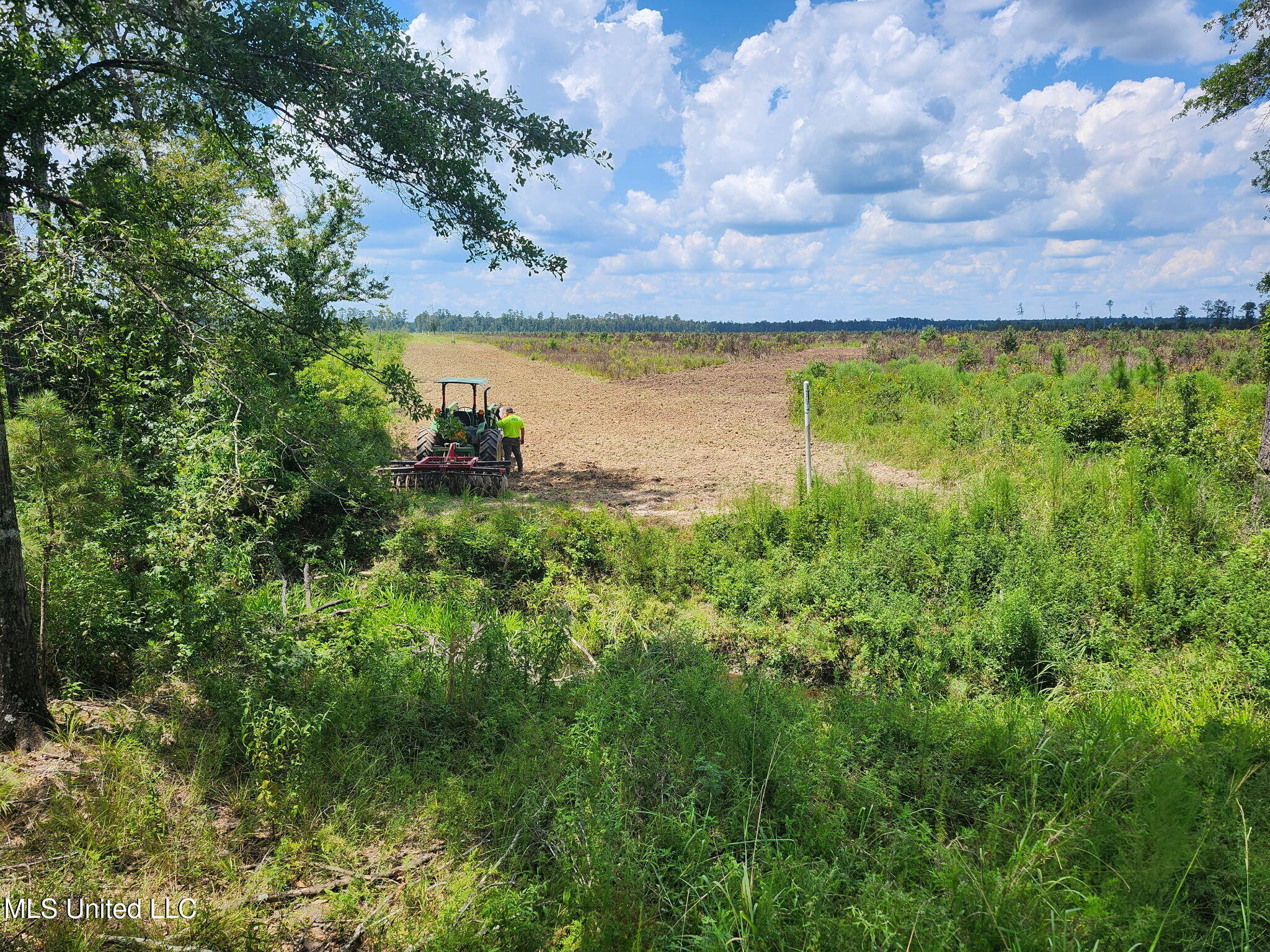 38774 South Mccarrol Road Independence, LA 70443 - Photo 5 of 24 5518054543912717795 2