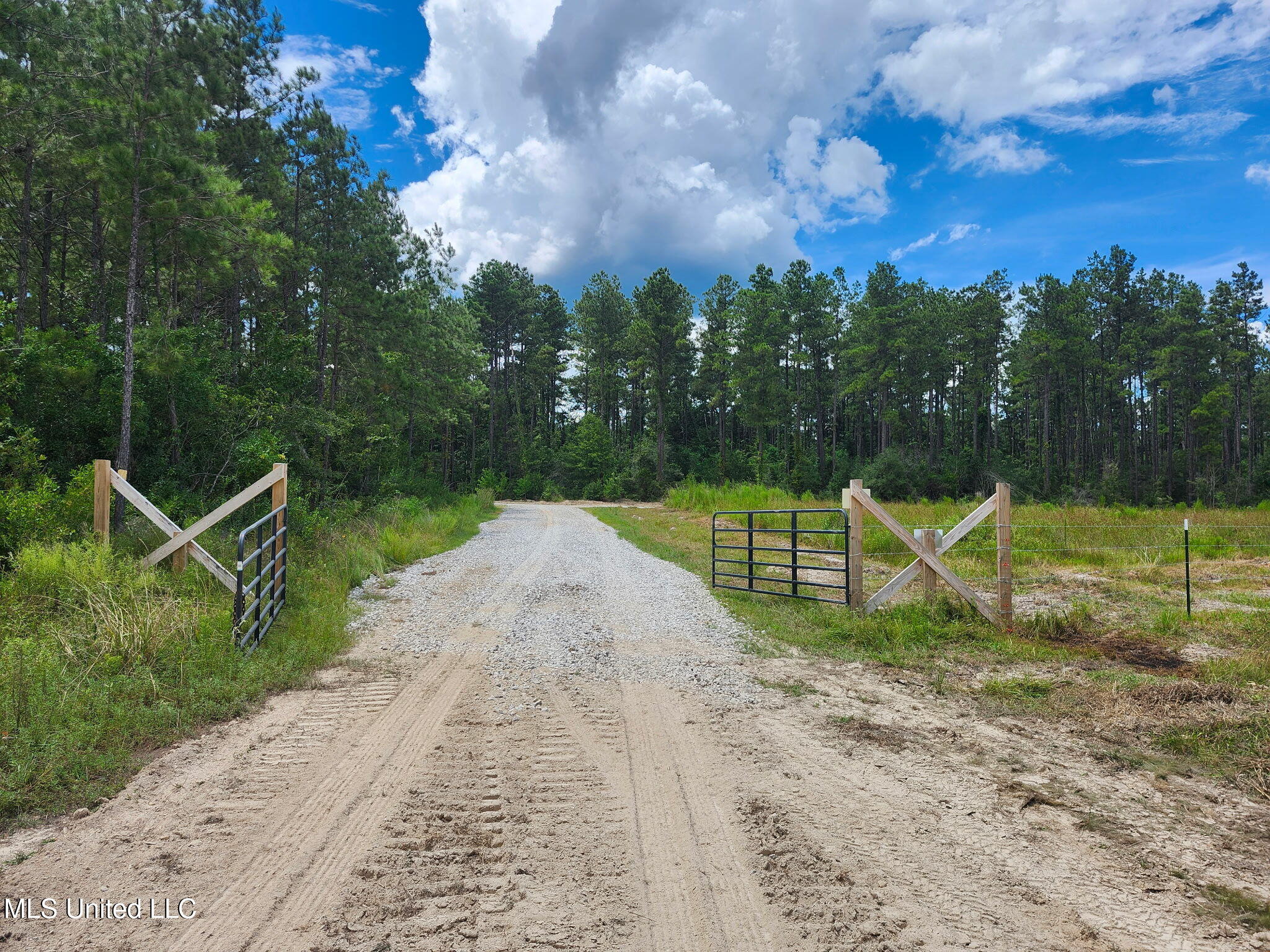 38774 South Mccarrol Road Independence, LA 70443 - Photo 6 of 24 6653282978712218823 2
