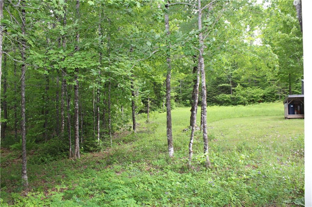 1 York Mill Athens, ME 04912 - Photo 18 of 23 Nice mix of open area and woods,...