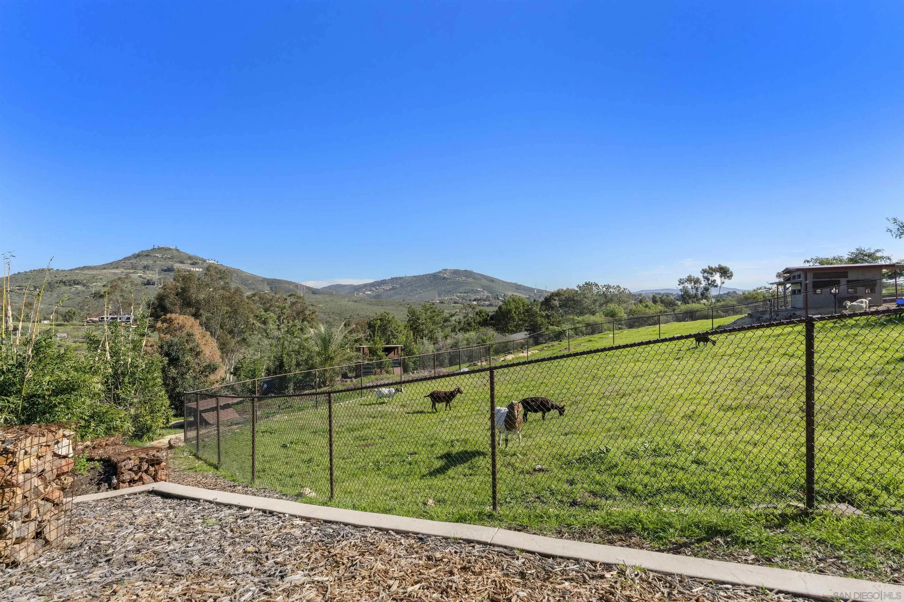 3605 1/2 Fortuna Ranch Road Encinitas, CA 92024 - Photo 45 of 47