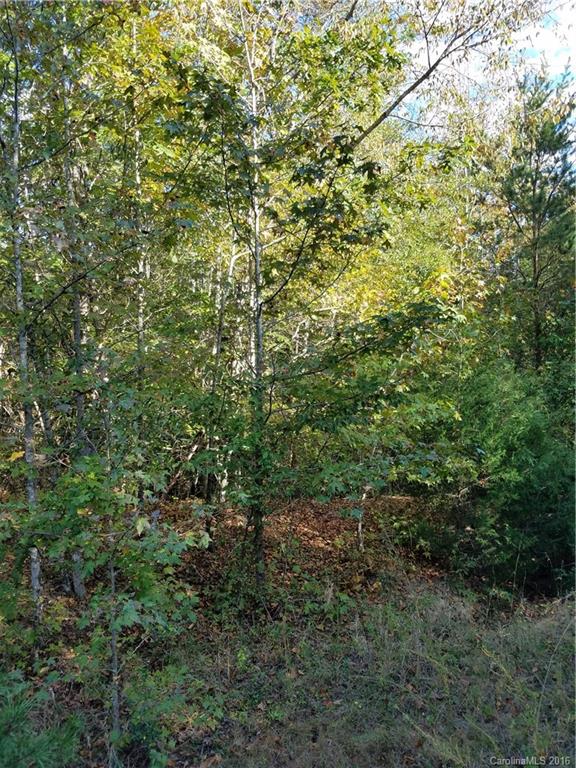 712 Enon Church Road Blacksburg, SC 29702 - Photo 12 of 18 a view of a lush green forest