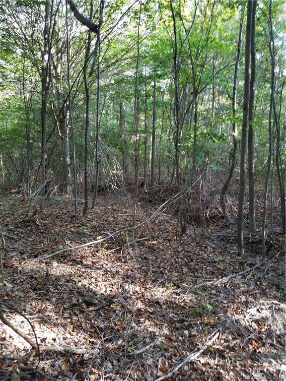 712 Enon Church Road Blacksburg, SC 29702 - Photo 14 of 18 a view of a forest with trees in the background