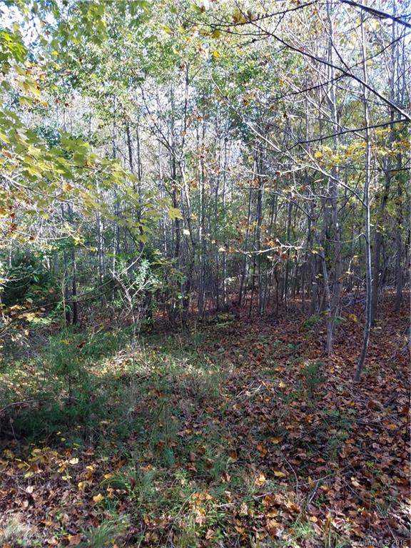 712 Enon Church Road Blacksburg, SC 29702 - Photo 6 of 18 a view of a forest with trees in the background