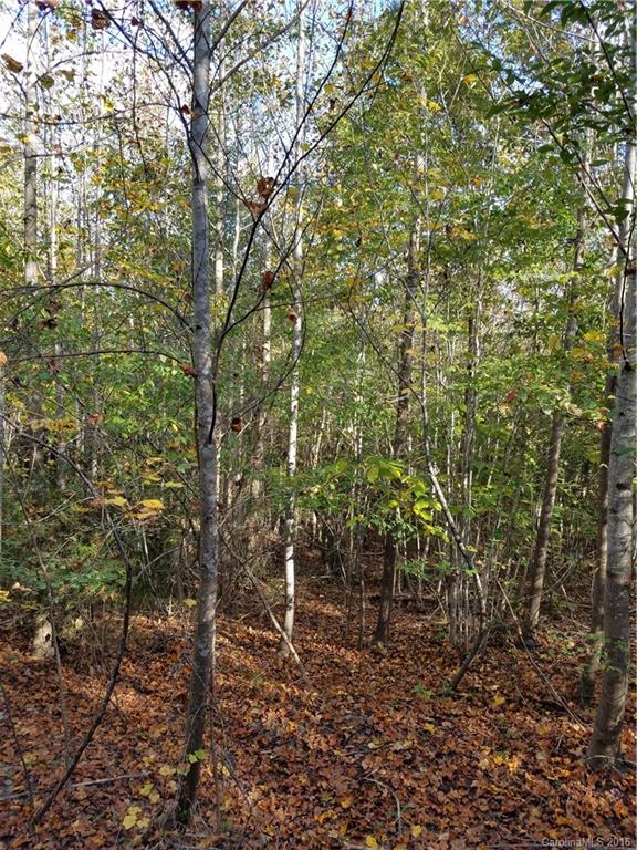712 Enon Church Road Blacksburg, SC 29702 - Photo 7 of 18 a view of a yard with a tree