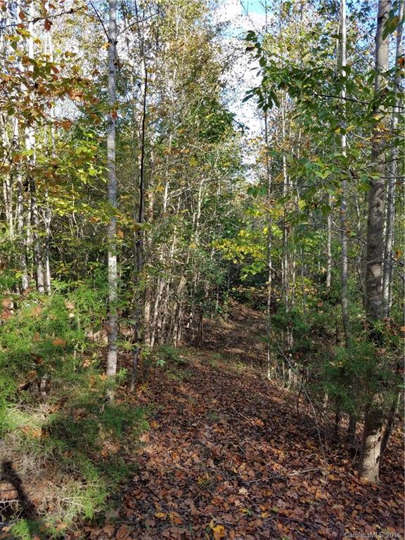 712 Enon Church Road Blacksburg, SC 29702 - Photo 8 of 18 a view of a lush green forest