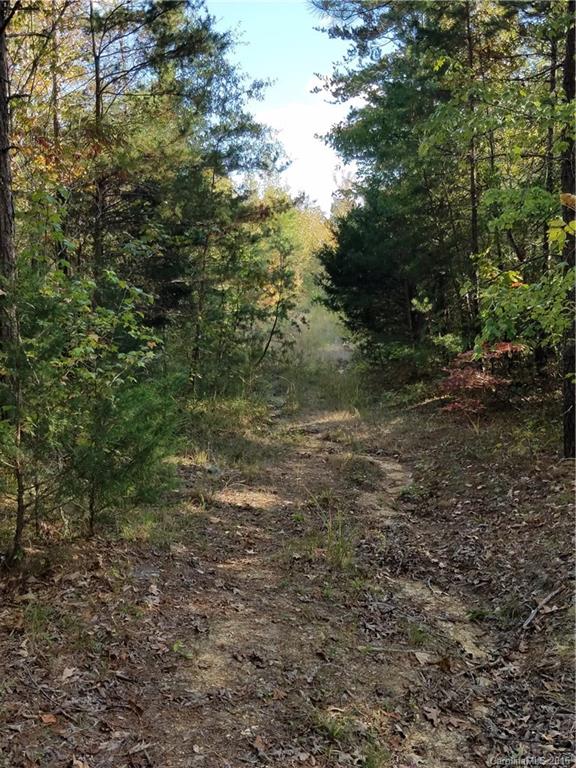 712 Enon Church Road Blacksburg, SC 29702 - Photo 10 of 18 a view of a yard with a tree