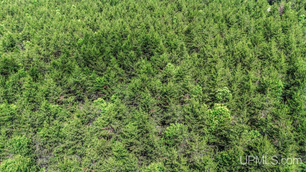 Tbd Bryan Creek Road Ishpeming, MI 49849 - Photo 9 of 16