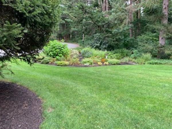 15 Arcadia Road Andover, MA 01810 - Photo 38 of 42 a view of a garden