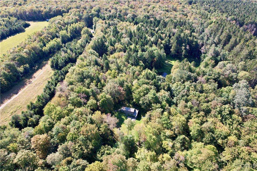 164 Husted Road Lincklaen, NY 13155 - Photo 19 of 21