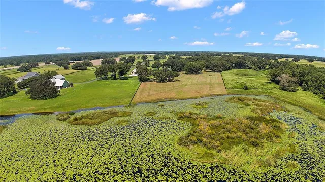 $300,000 | 204 Co Road, Oxford, FL 34484