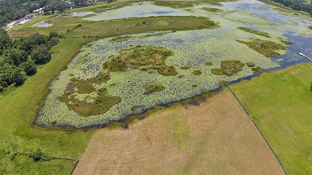 $300,000 | 204 Co Road, Oxford, FL 34484