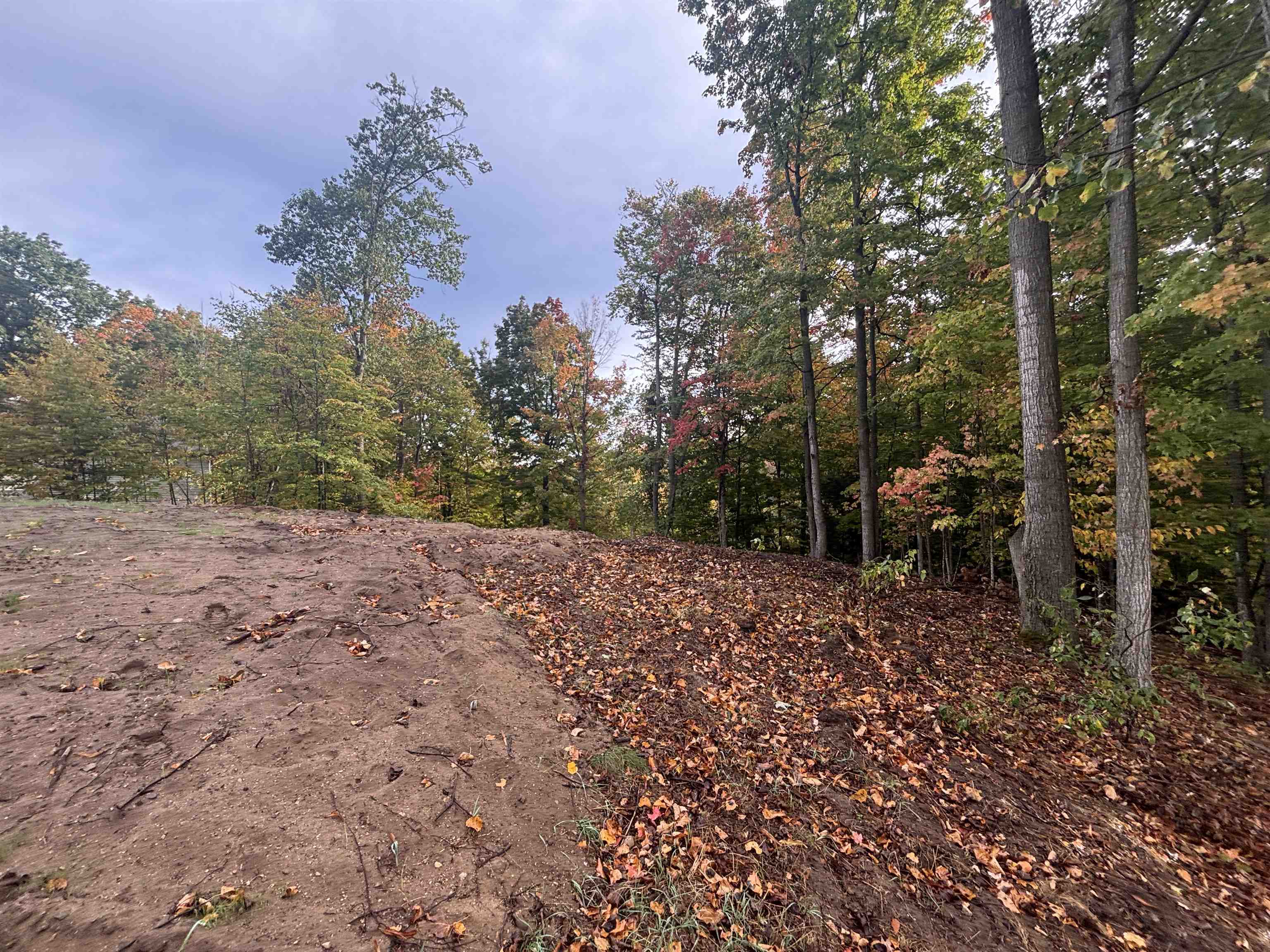 4972 Truax Lake Road Williamsburg, MI 49690 - Photo 23 of 27