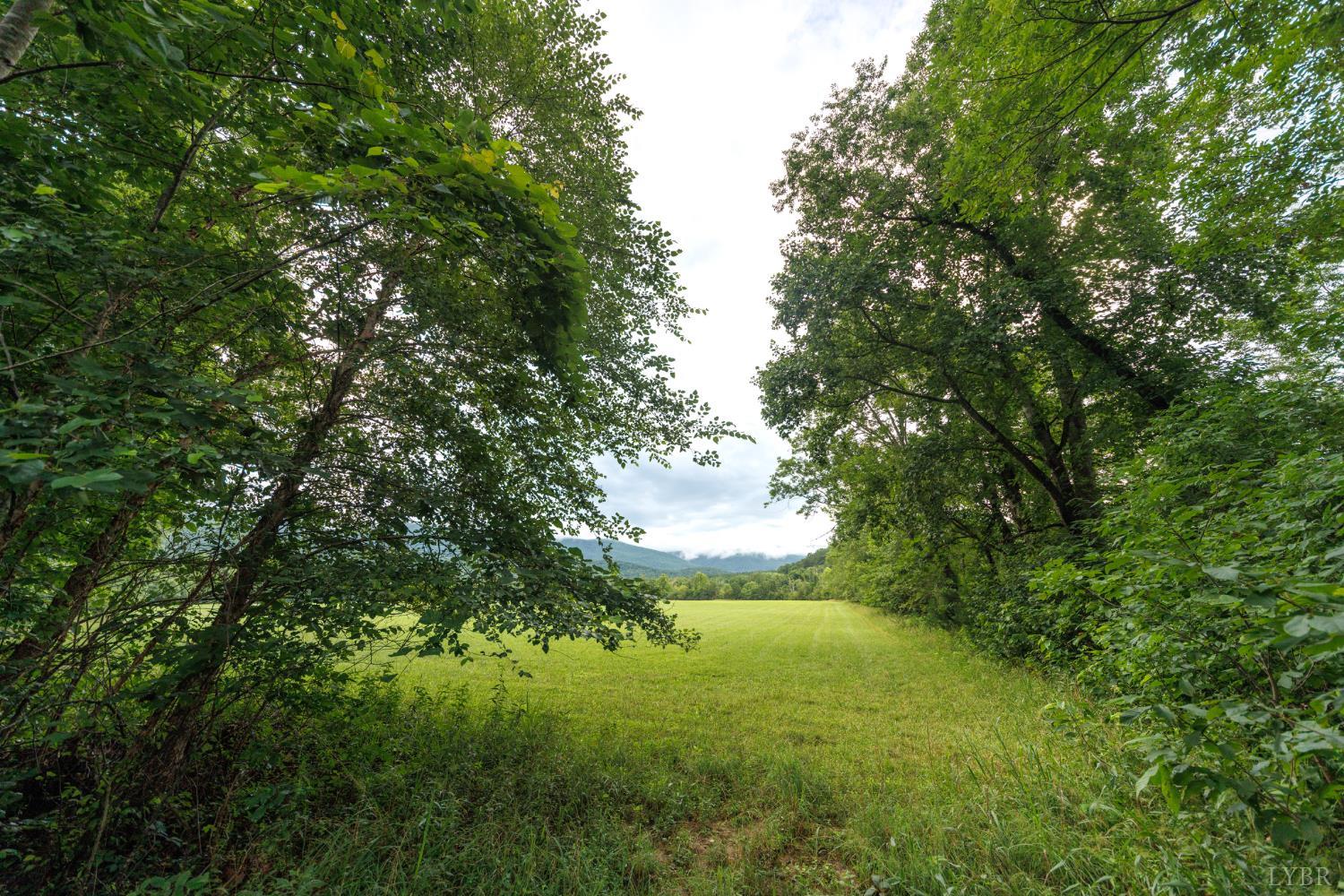 0 41 News Road Eagle Rock, VA 24085 - Photo 32 of 51