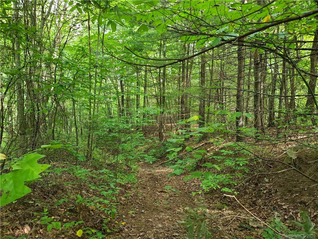 145.34 Paint Fork Road Barnardsville, NC 28709 - Photo 18 of 32