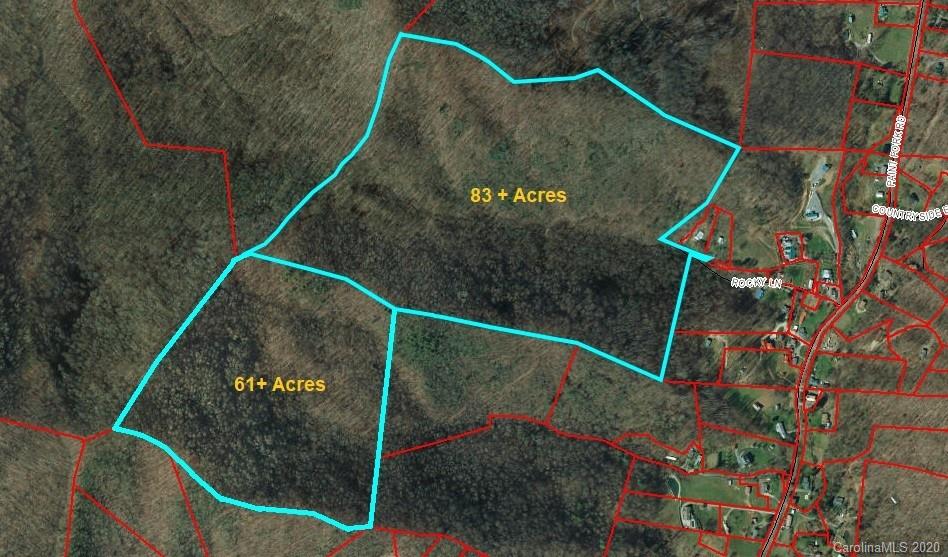 145.34 Paint Fork Road Barnardsville, NC 28709 - Photo 3 of 32